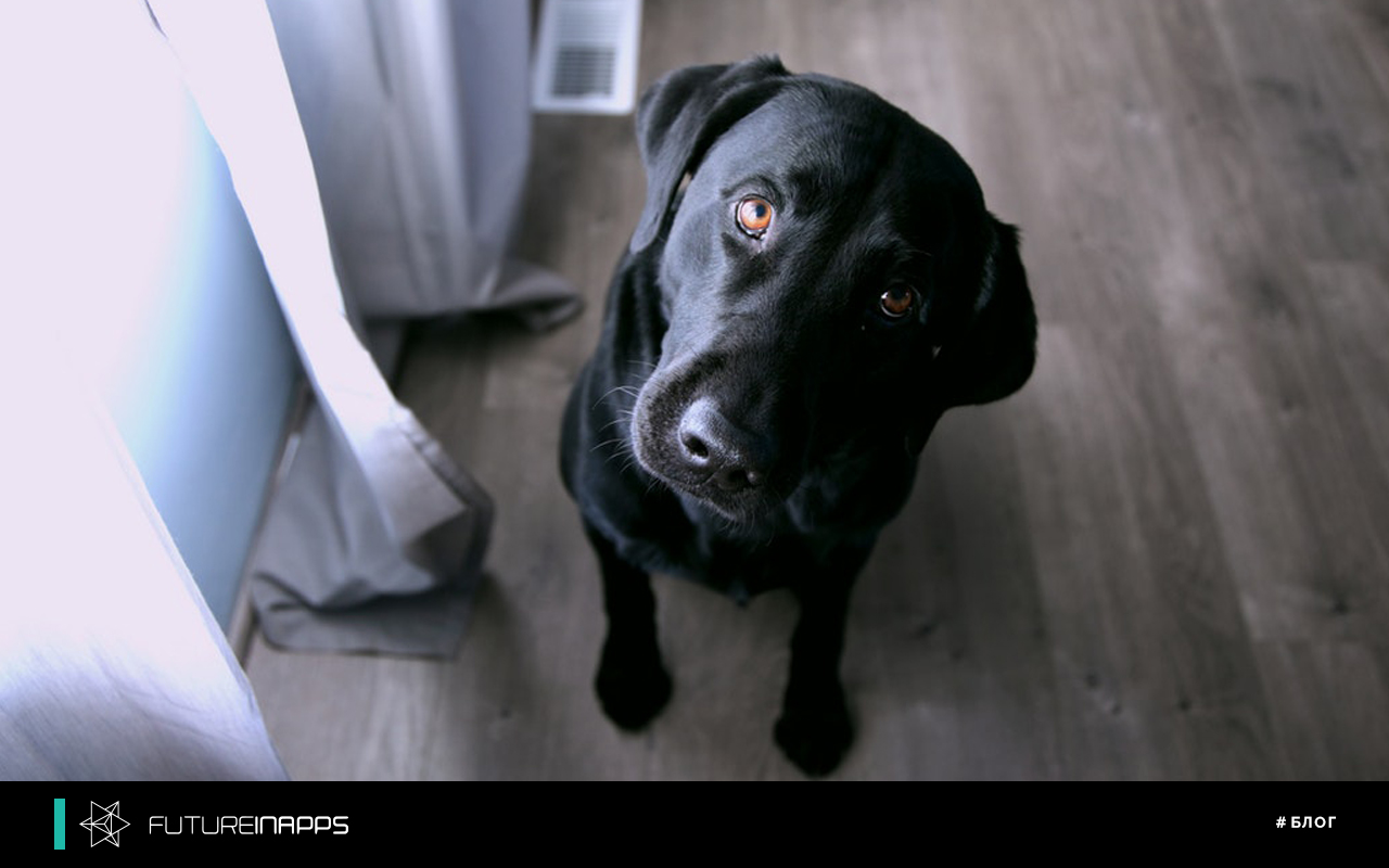 The eternal question: How much is the creation of the site?