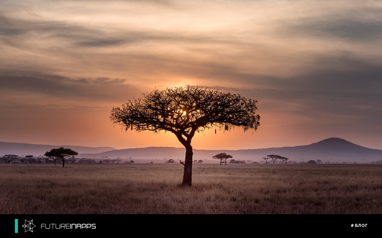 Личный бренд. Начинать нужно уже сейчас!