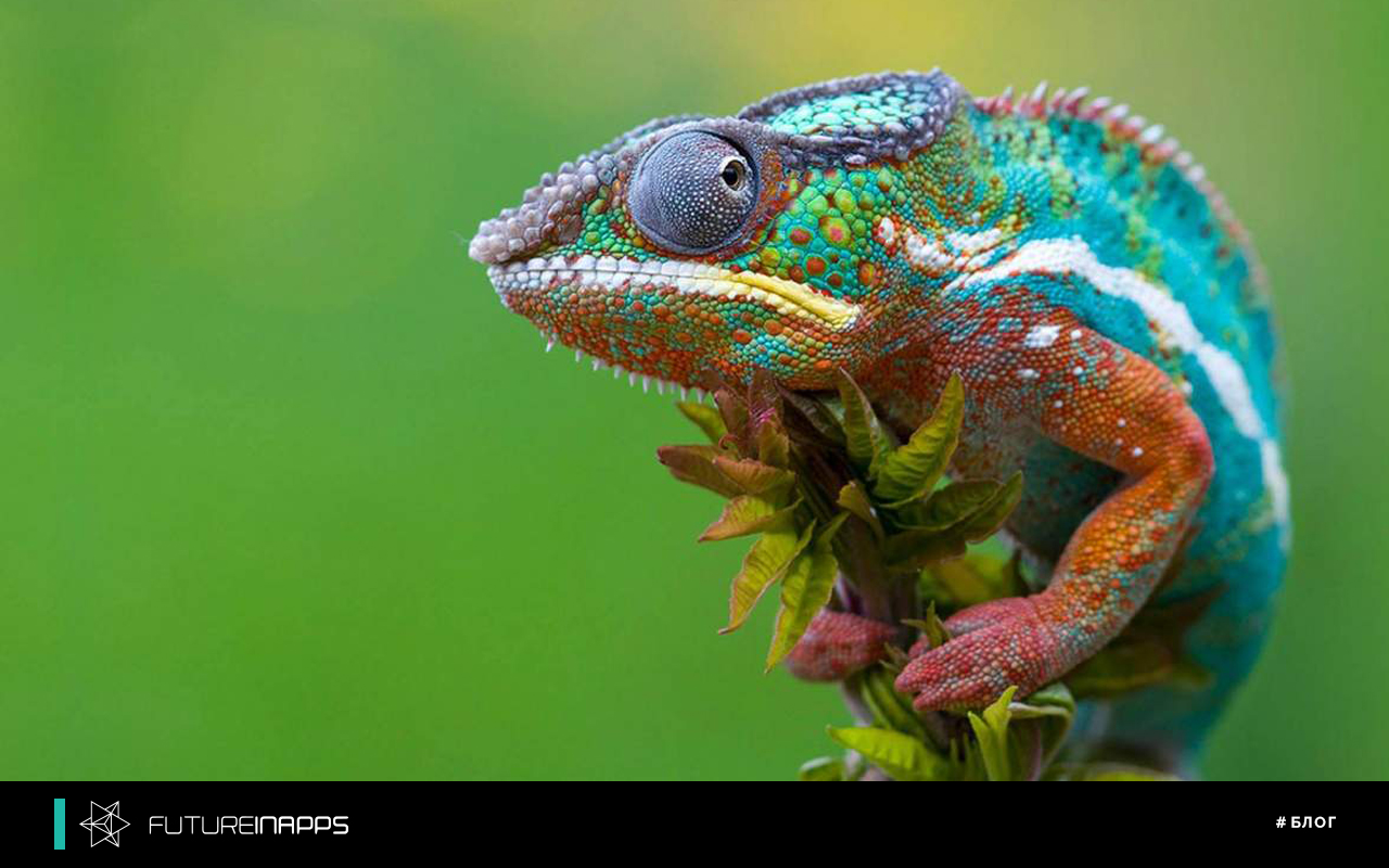 С чем едят хамелеонов? Адаптивная реклама в Google