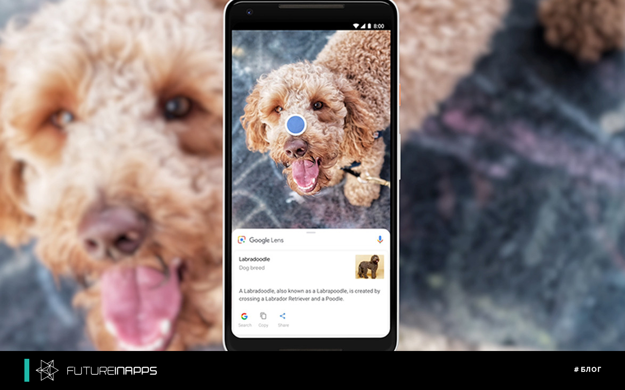 The future of search begins with the letter V