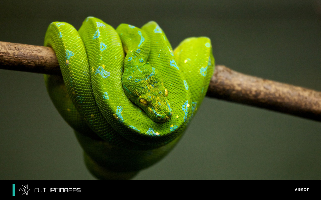 10 причин, почему в веб-разработке Python выигрывает у PHP