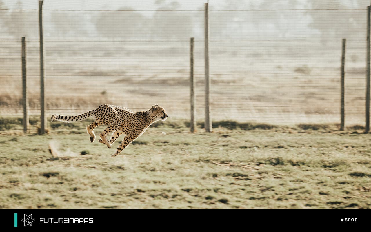 Как быстро привлечь клиента на сайт фитнес-клуба? Кейс