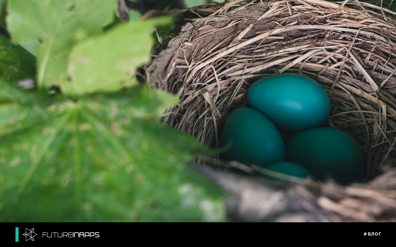 Do not store all the eggs for SEO optimization in one basket
