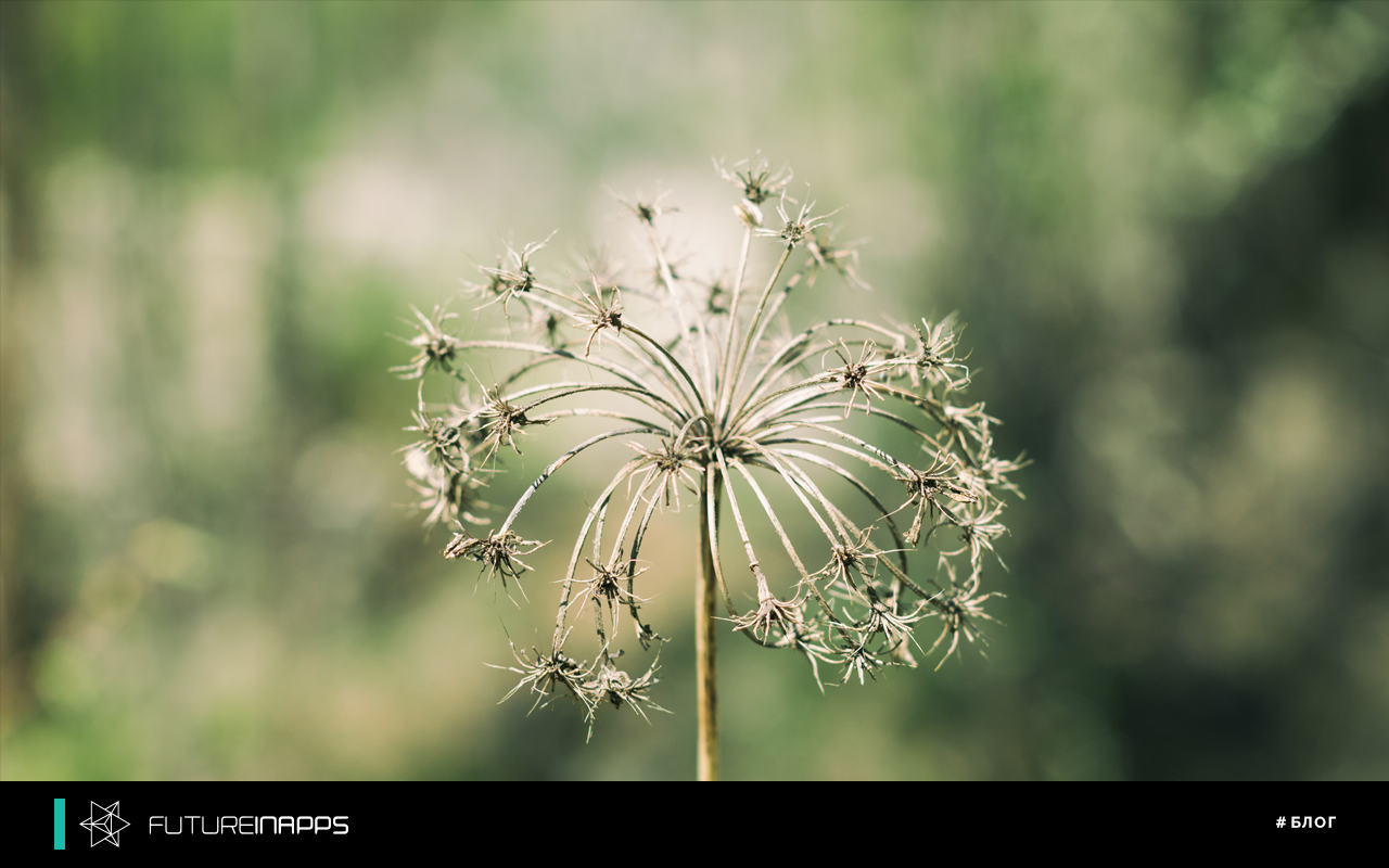 Dead Souls: as a follower kills subscribers kills