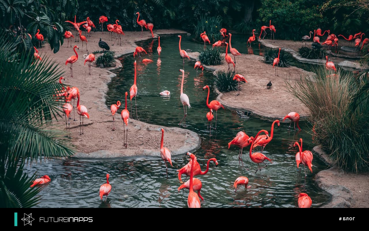 Local targeting for offline business