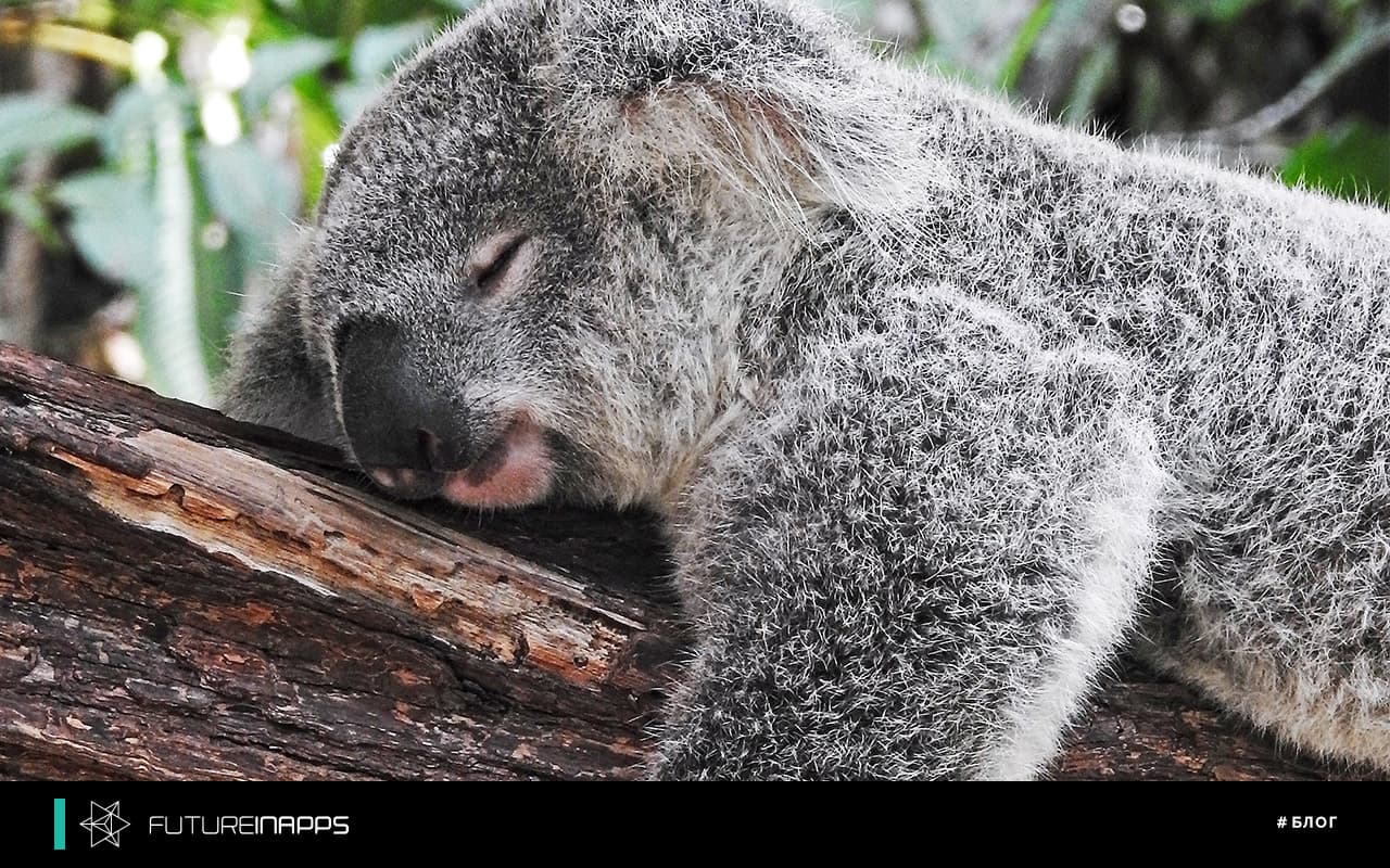 Wake up, subscriber! How to increase activity in Instagram account