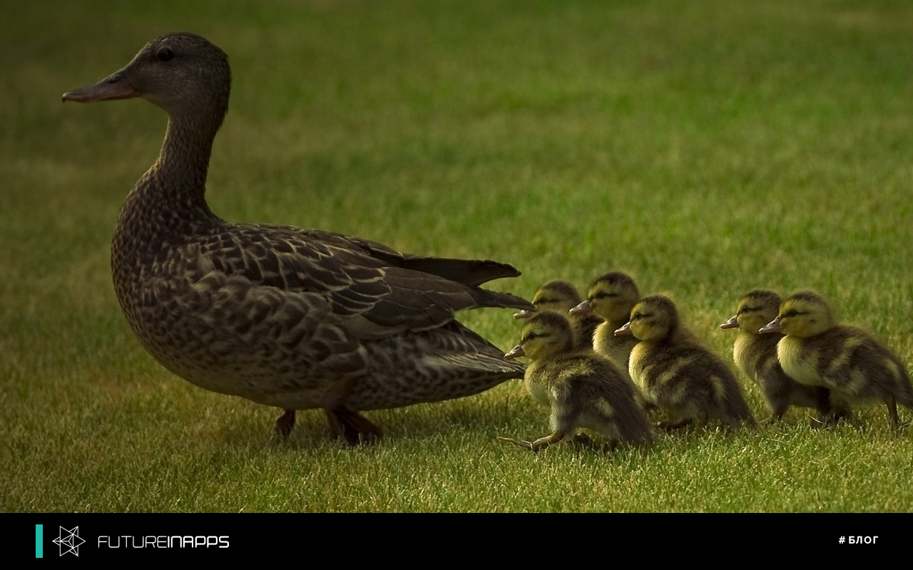 Что такой ссылка Nofollow? Продвигает ли она сайт?